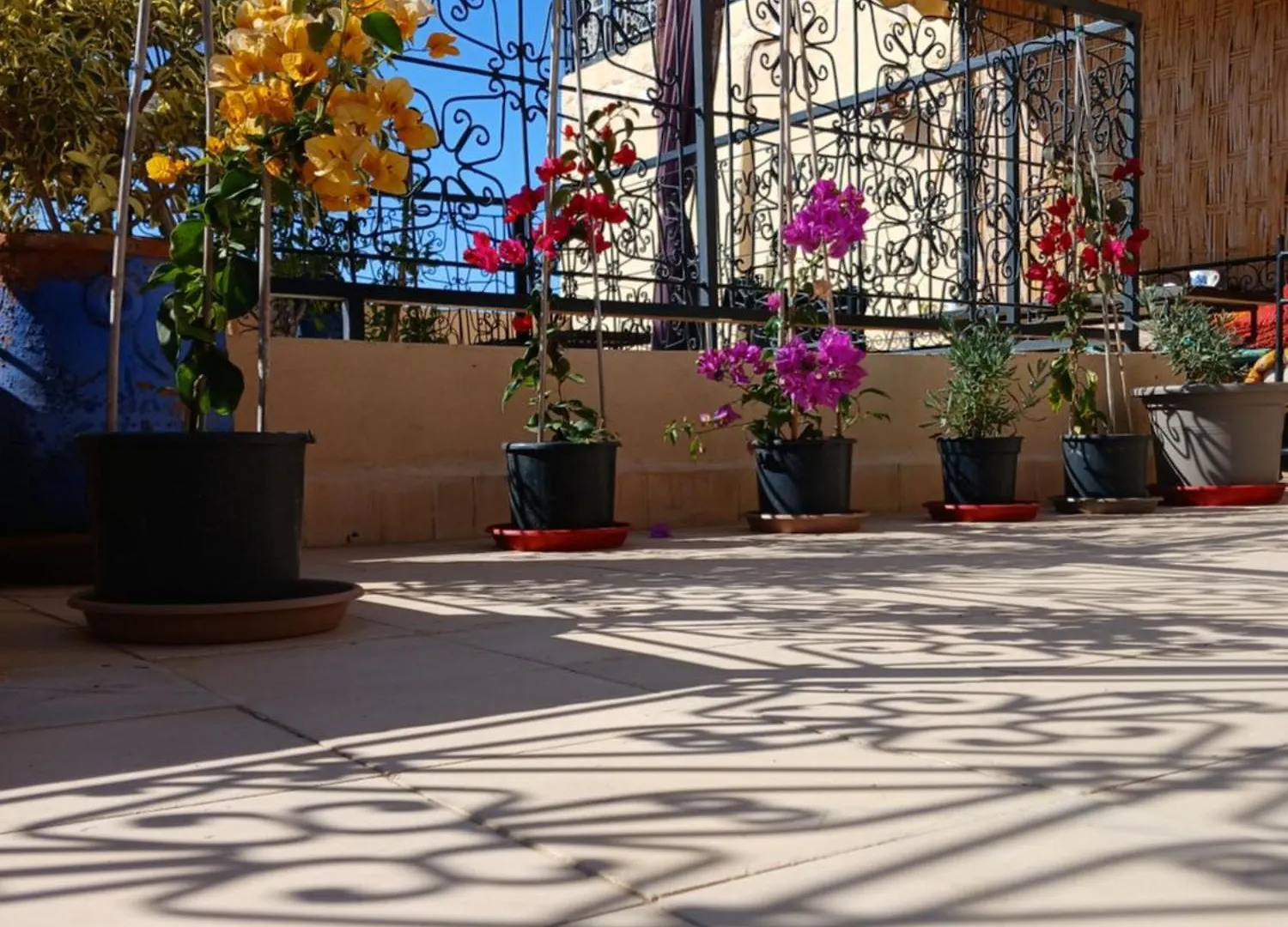 Riad Dantella Marrakesh Morocco