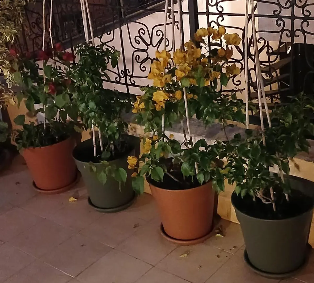 Riad Dantella Marrakesh Morocco
